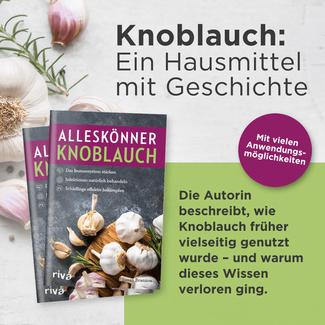 Alleskönner Knoblauch - Image 2