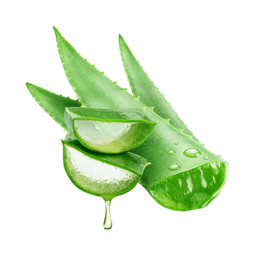 Aloe Vera Extrakt Kapseln - Image 4