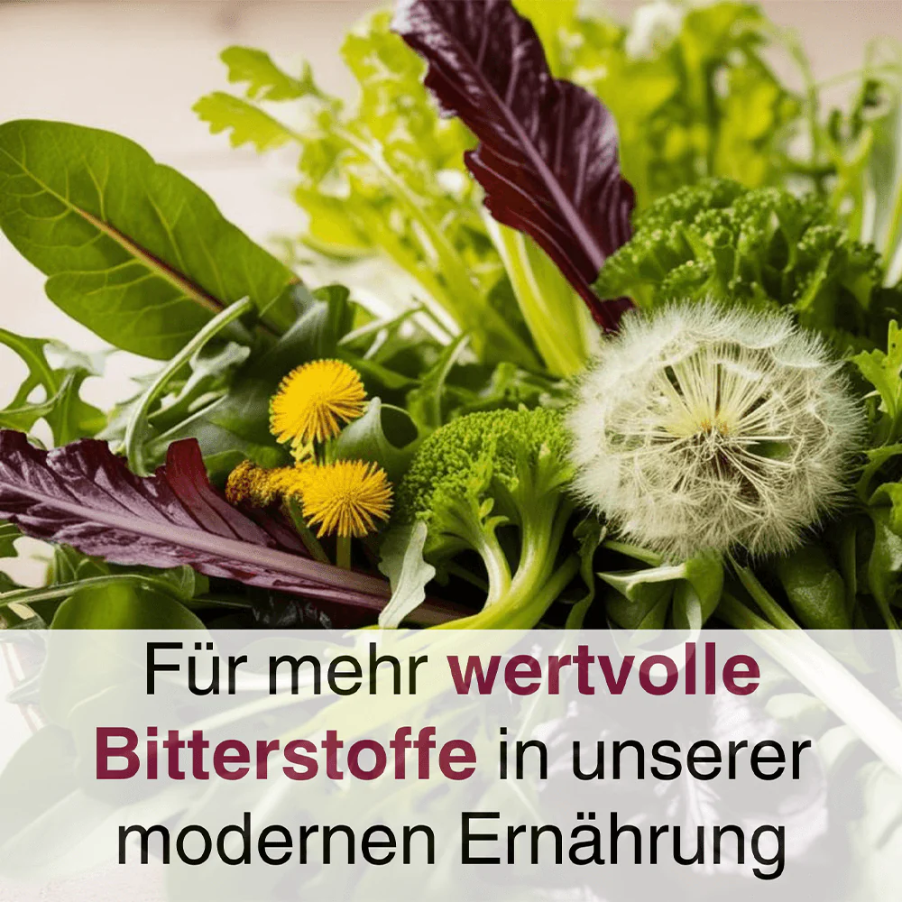 ANCENASAN® Bitterkräuter Kapseln mit Cholin Nachfüllpackung - Image 2