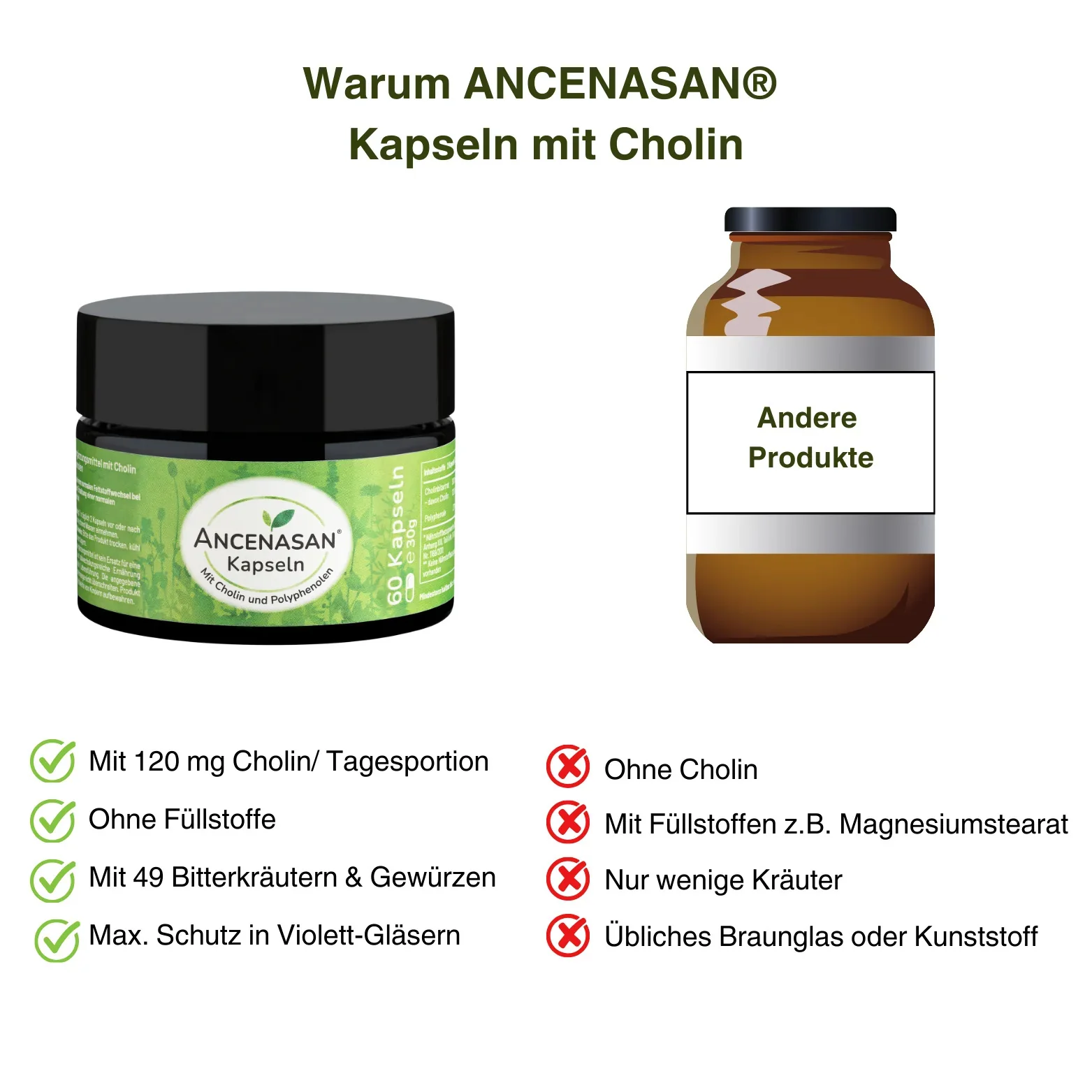 ANCENASAN® Kapseln mit Cholin - Image 4