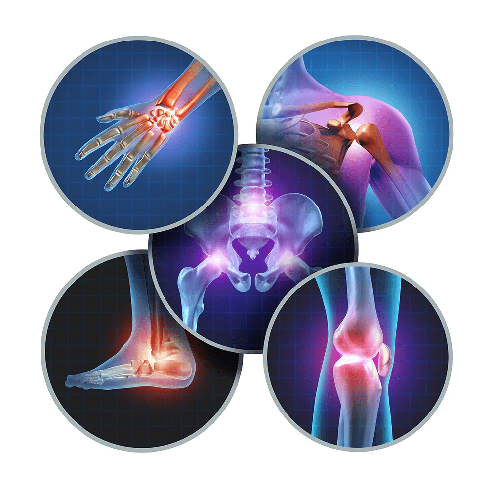 ArthroVita – Gelenk-Komplex (Pulver) - Image 4