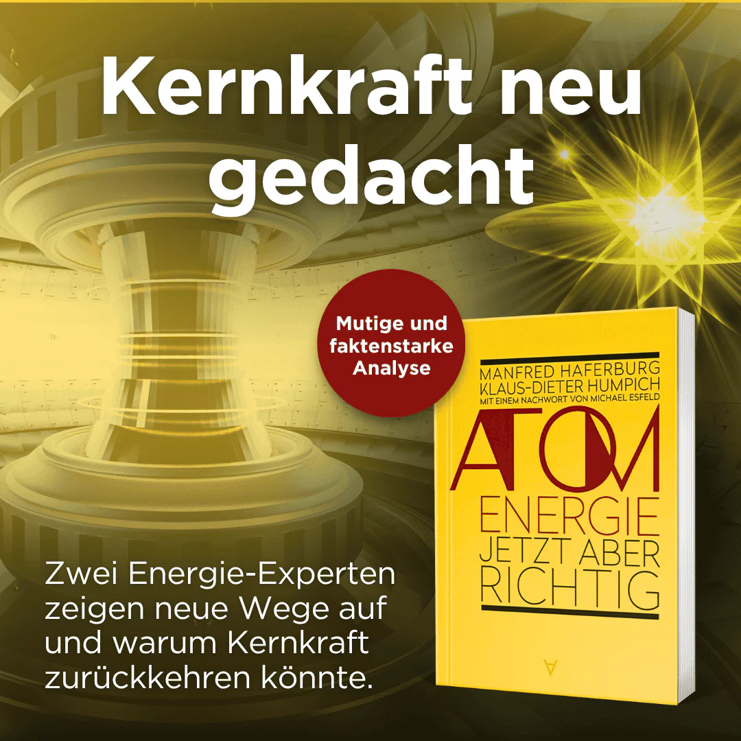 Atomenergie – jetzt aber richtig - Image 2