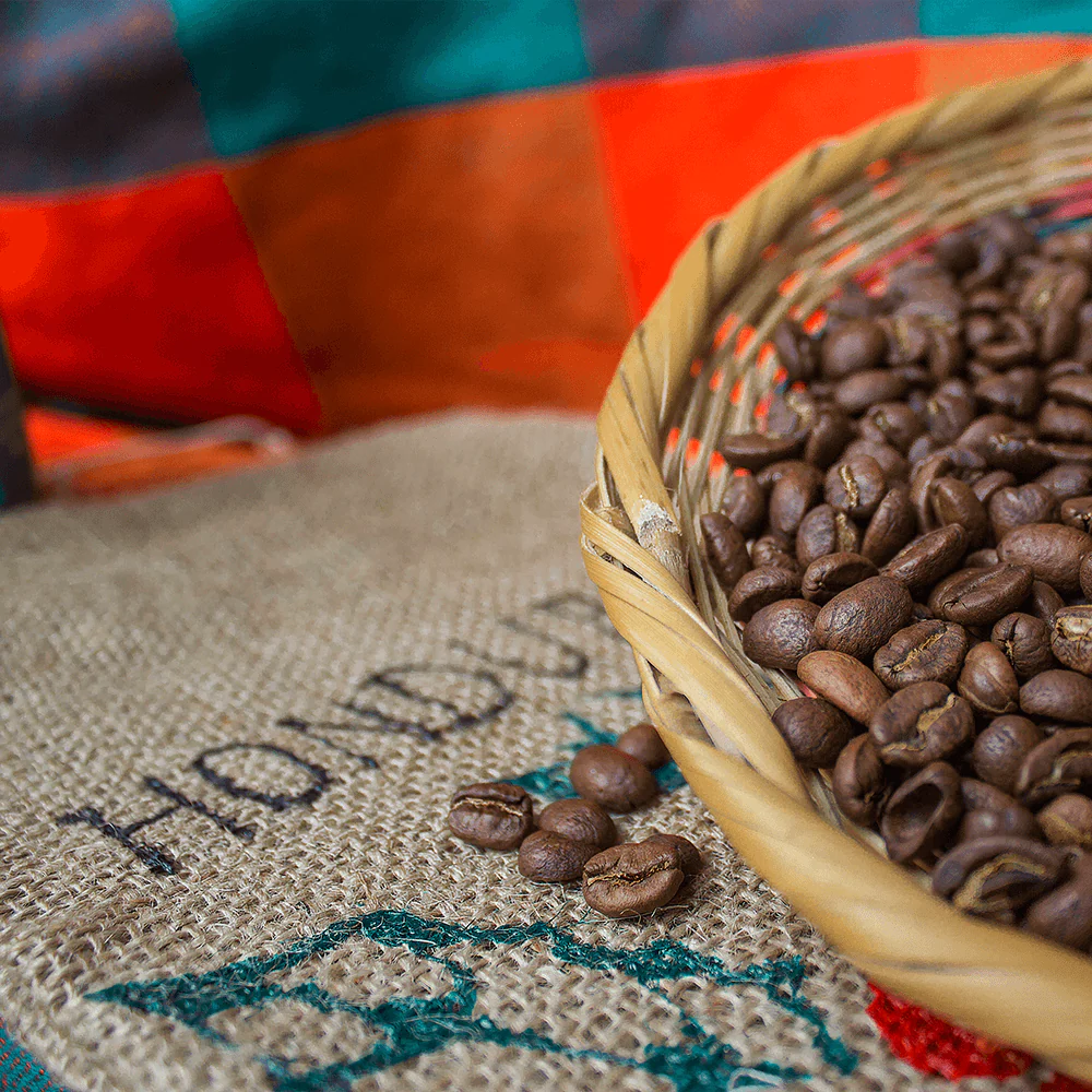 Bio Arabica Röstkaffee „Der Karibische“ - Image 3