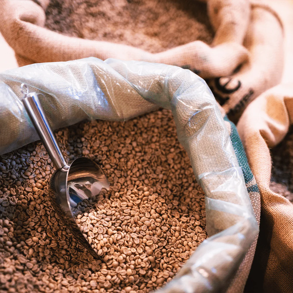 Bio Grüner Arabica Rohkaffee - Image 4