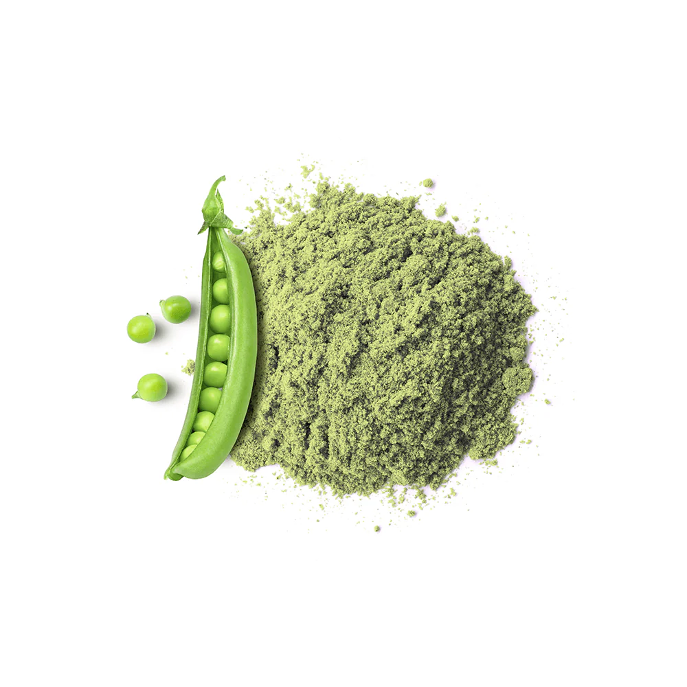 Bio Erbsenprotein - Image 2