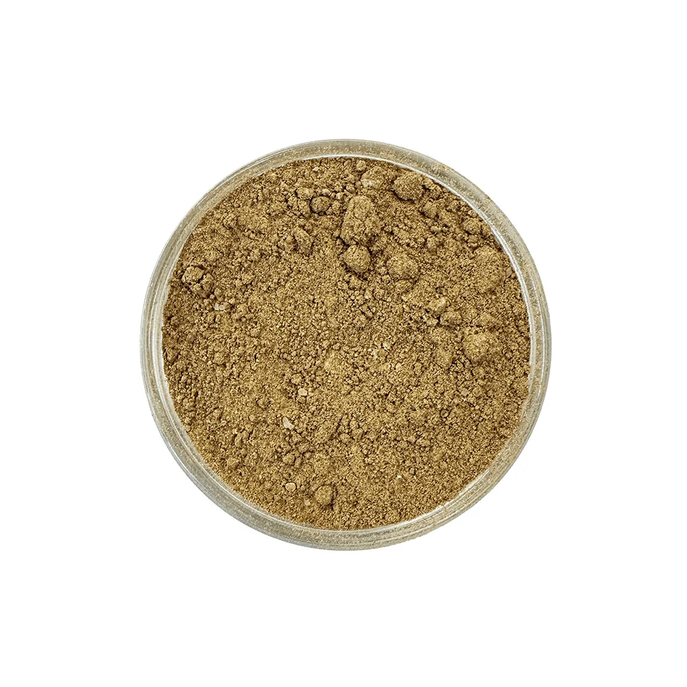 Bio Kürbis Latte Gewürzmischung - Image 3