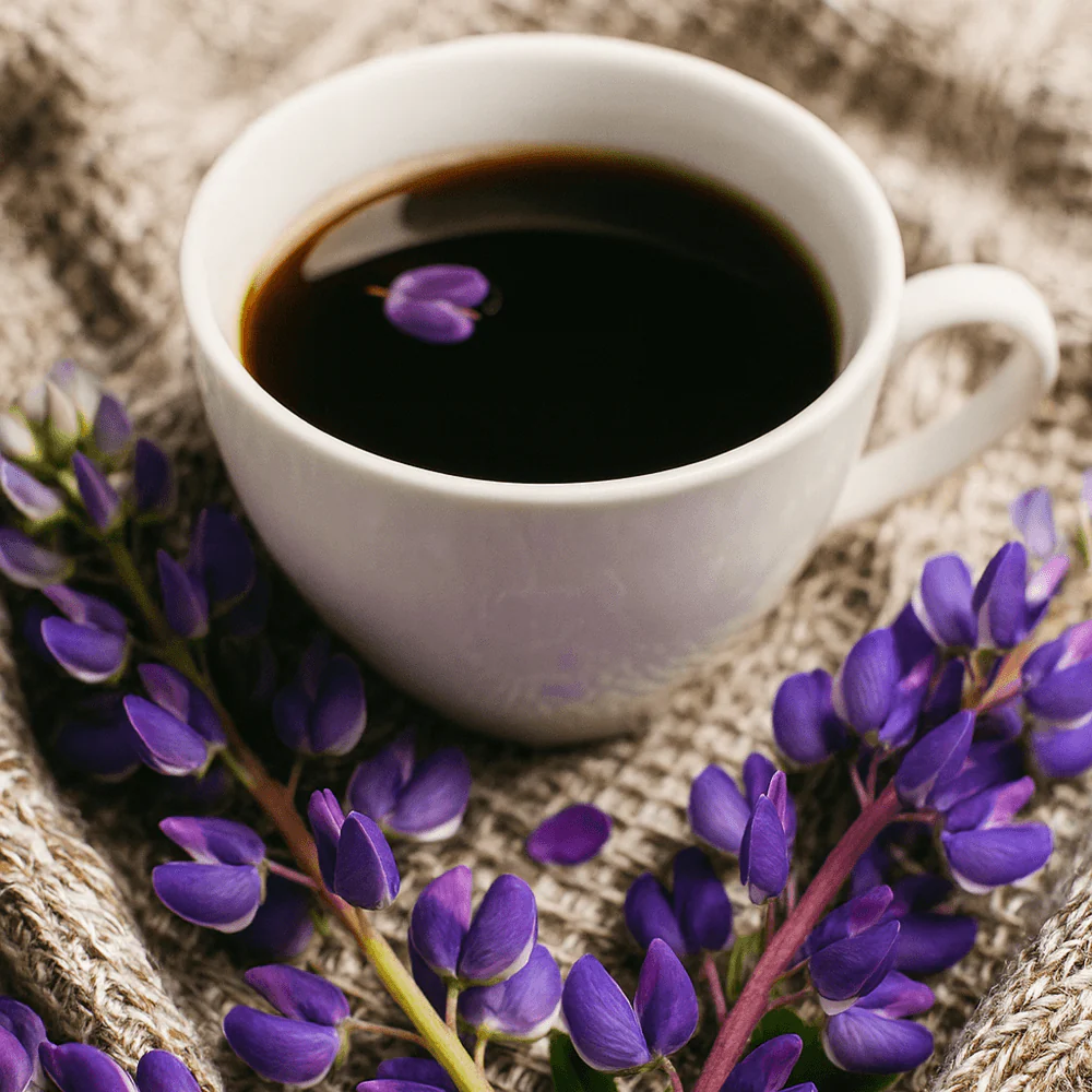 Bio Lupinen Kaffee „Da'Biolupi“ - Image 2