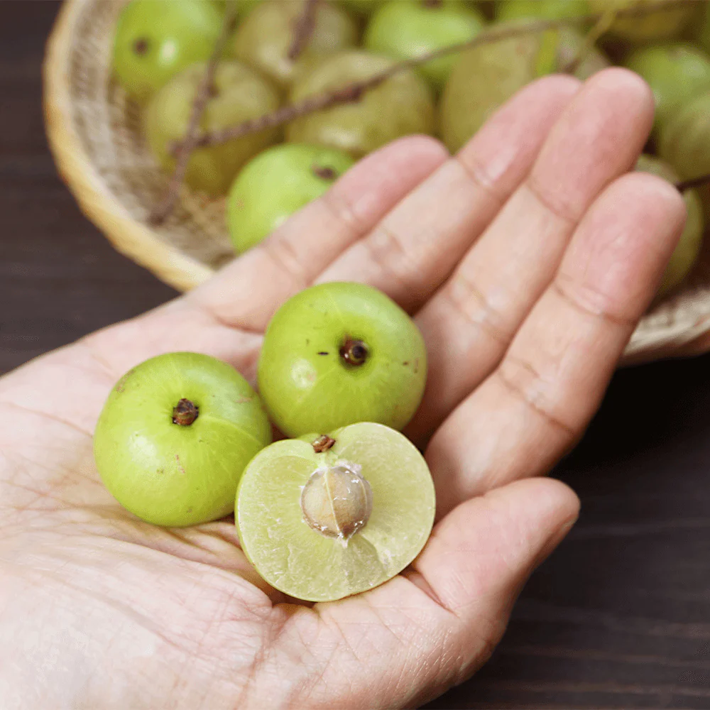 Bio Superfood Amla Pulver - Image 2