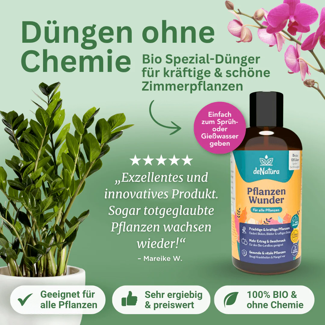 BodenWunder – Bodenverbesserer aus Pflanzenkohle - Image 3