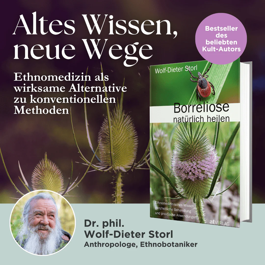 Borreliose natürlich heilen - Image 2