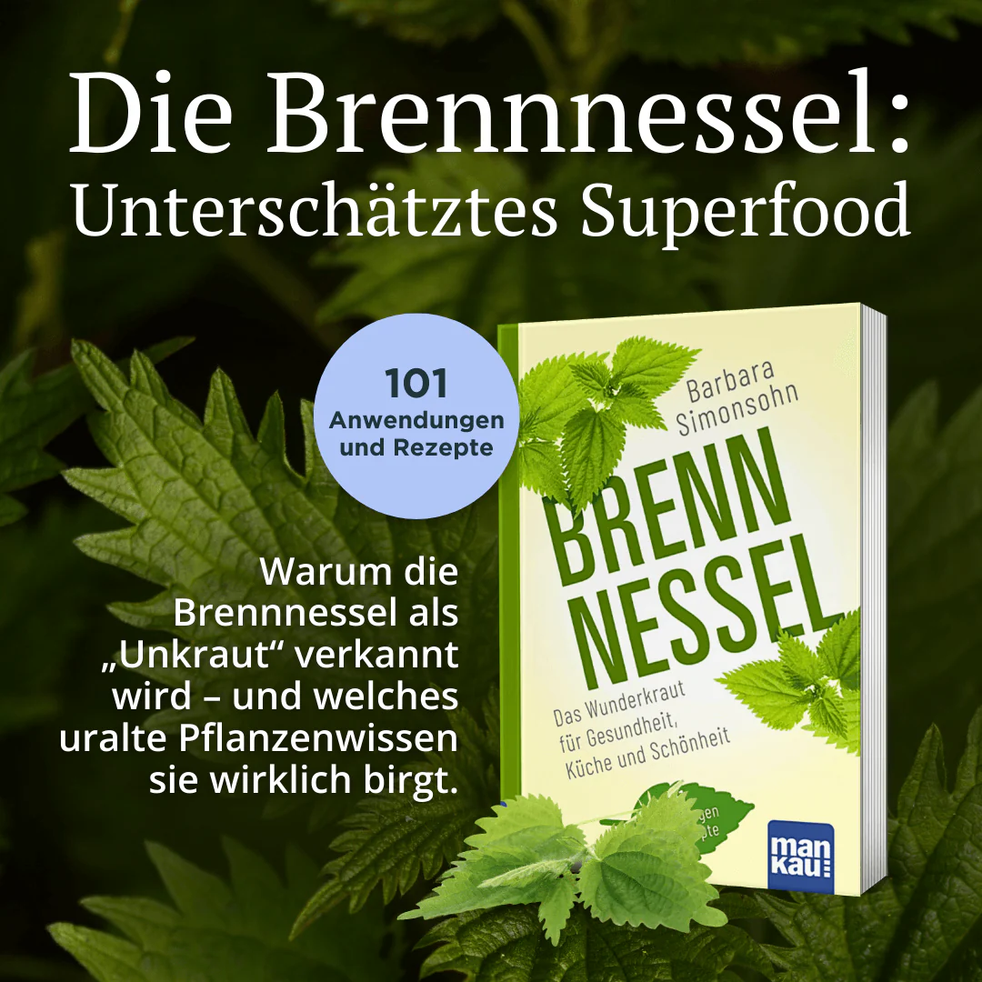 Brennnessel Kompakt-Ratgeber - Image 2
