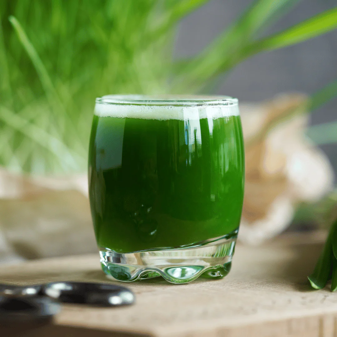 Chlorophyll Tropfen - Image 4