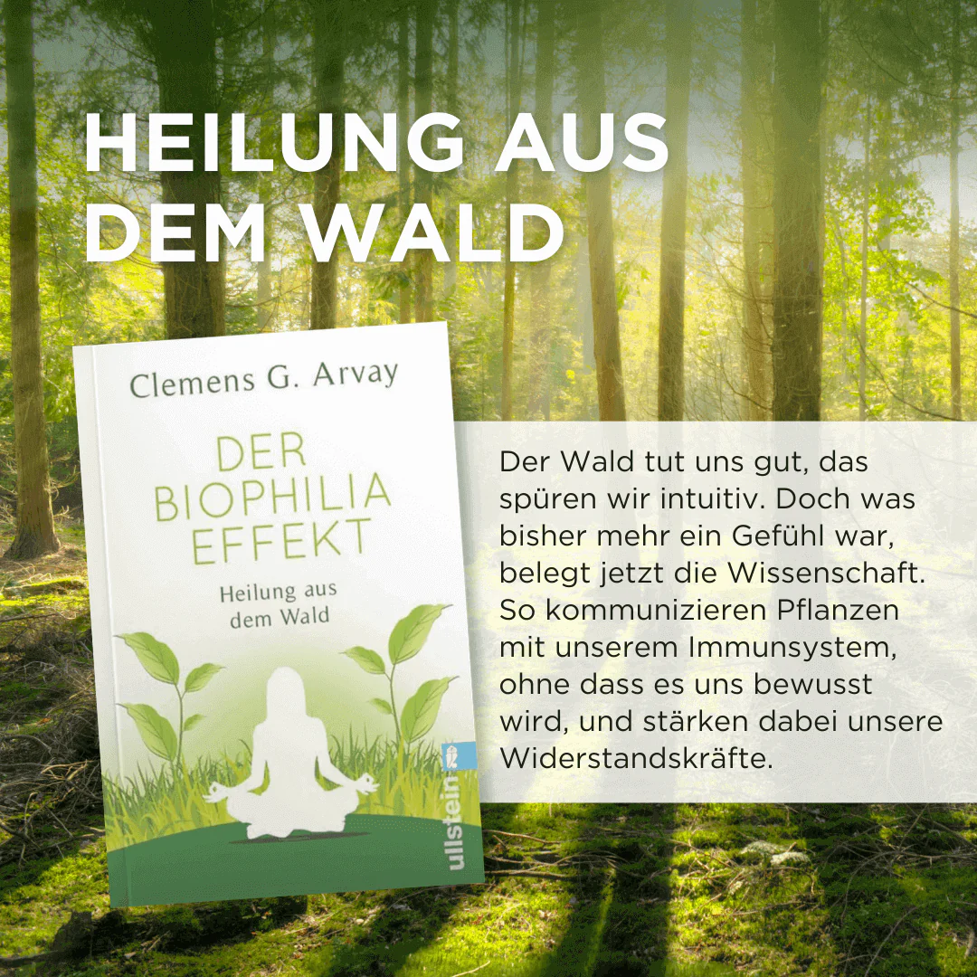 Der Biophilia-Effekt - Image 2