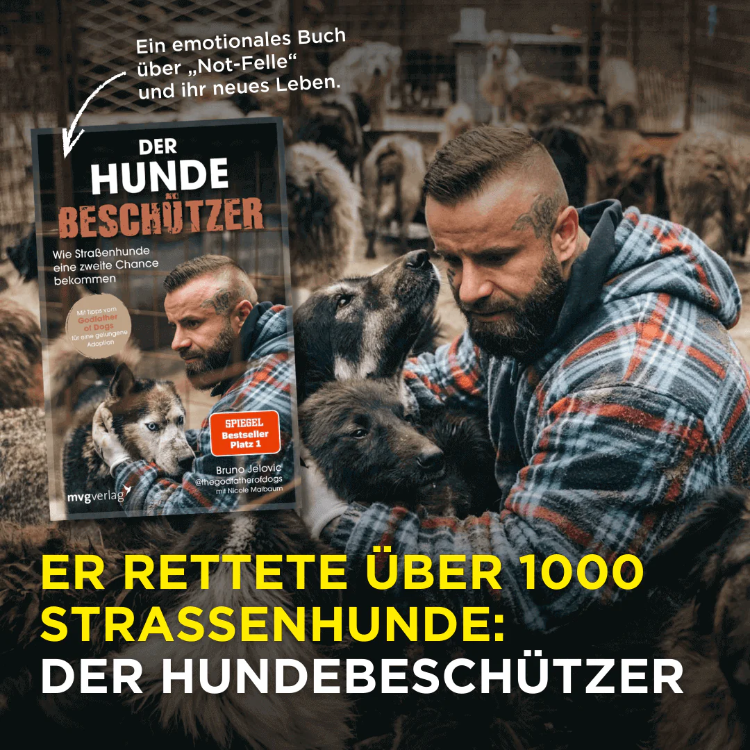 Der Hundebeschützer - Image 2