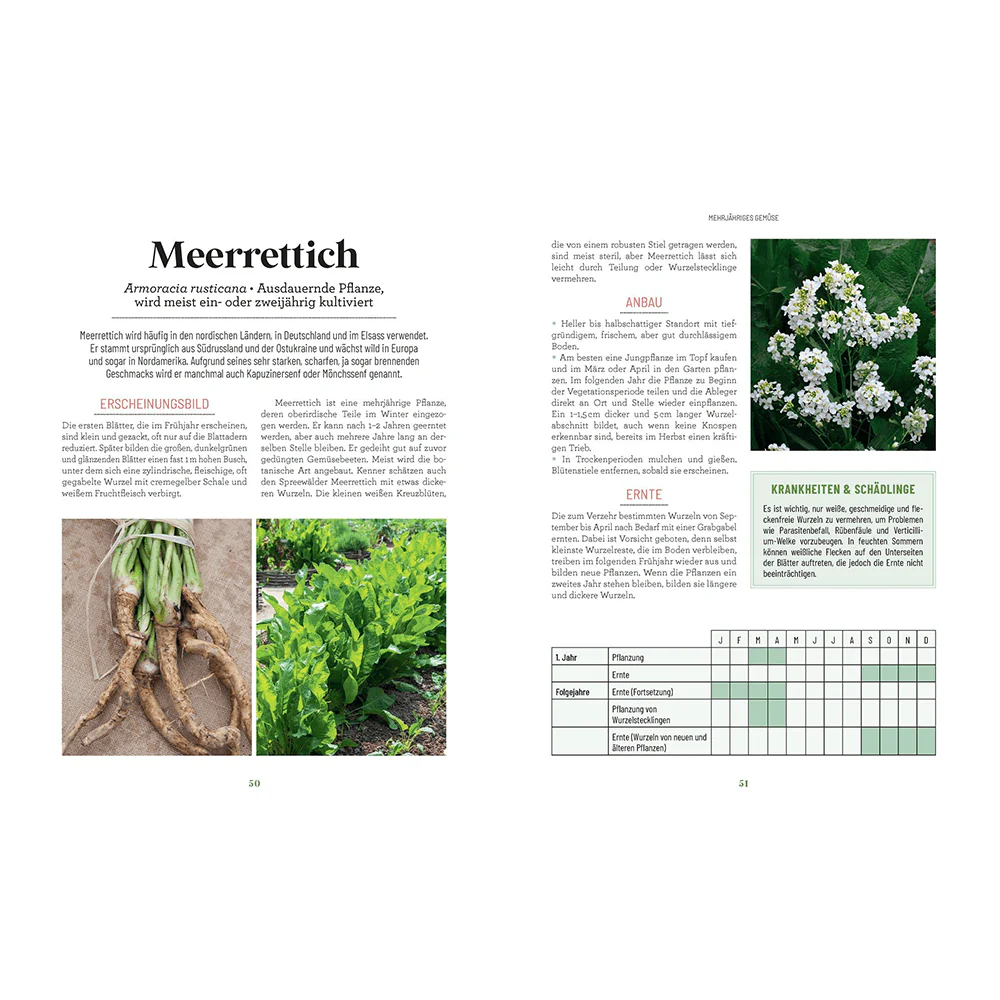 Der Survival-Garten - Image 4