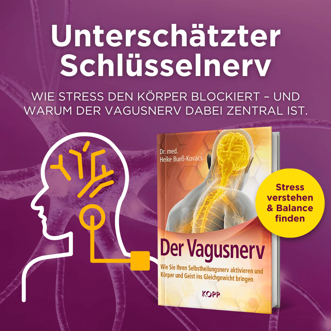 Der Vagusnerv - Image 2
