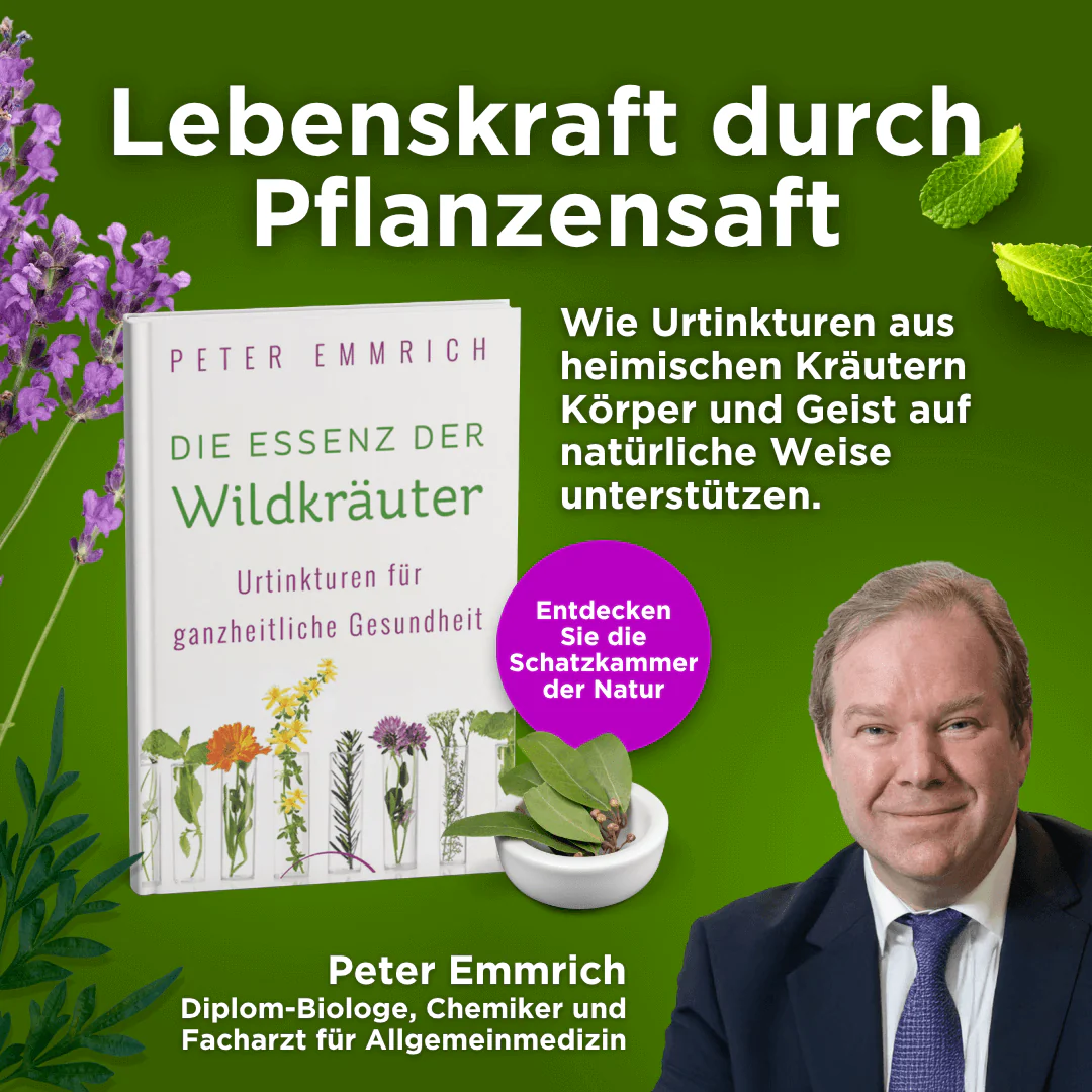 Die Essenz der Wildkräuter - Image 2