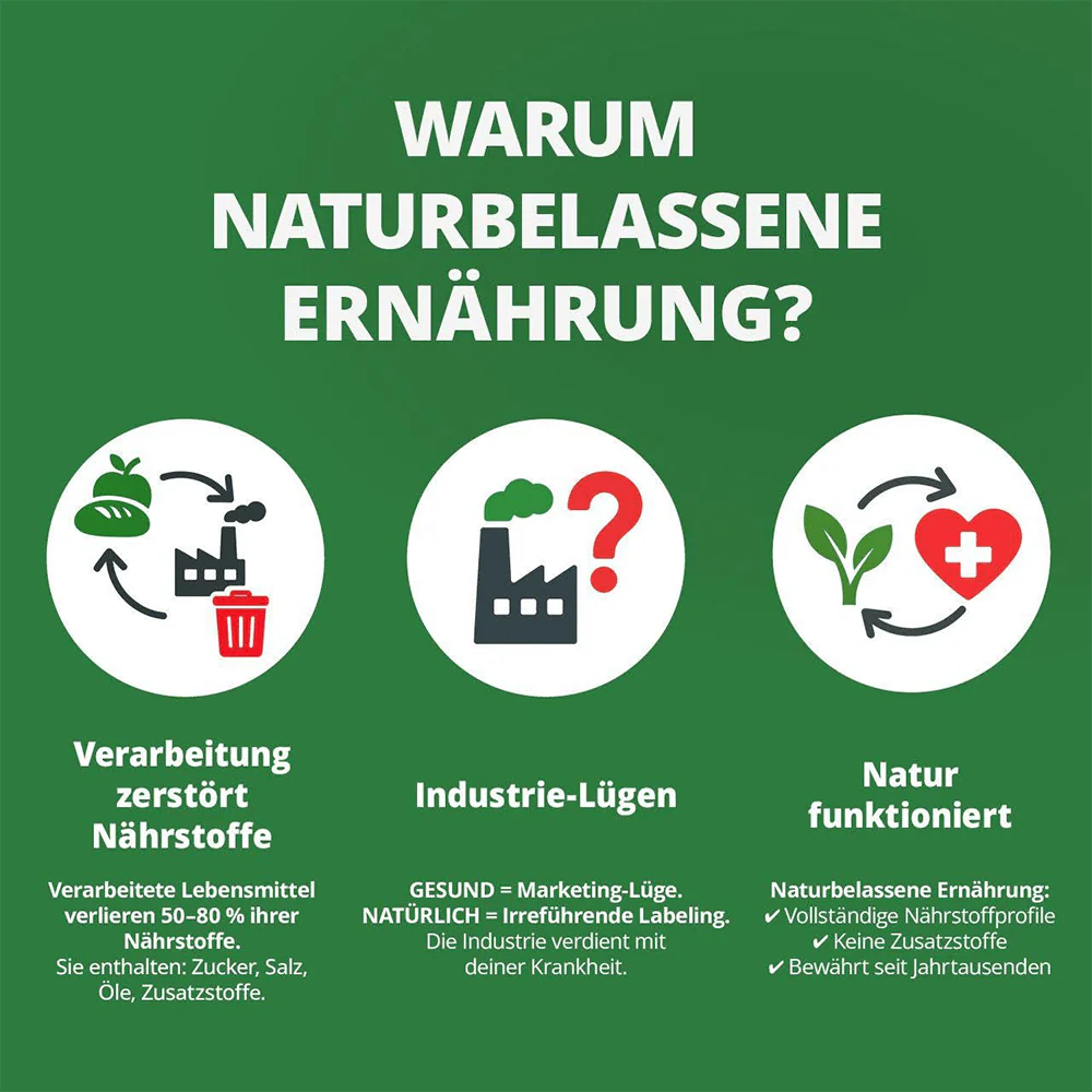 Die Krankheitslügen – Was man macht, um nicht krank zu werden - Image 6