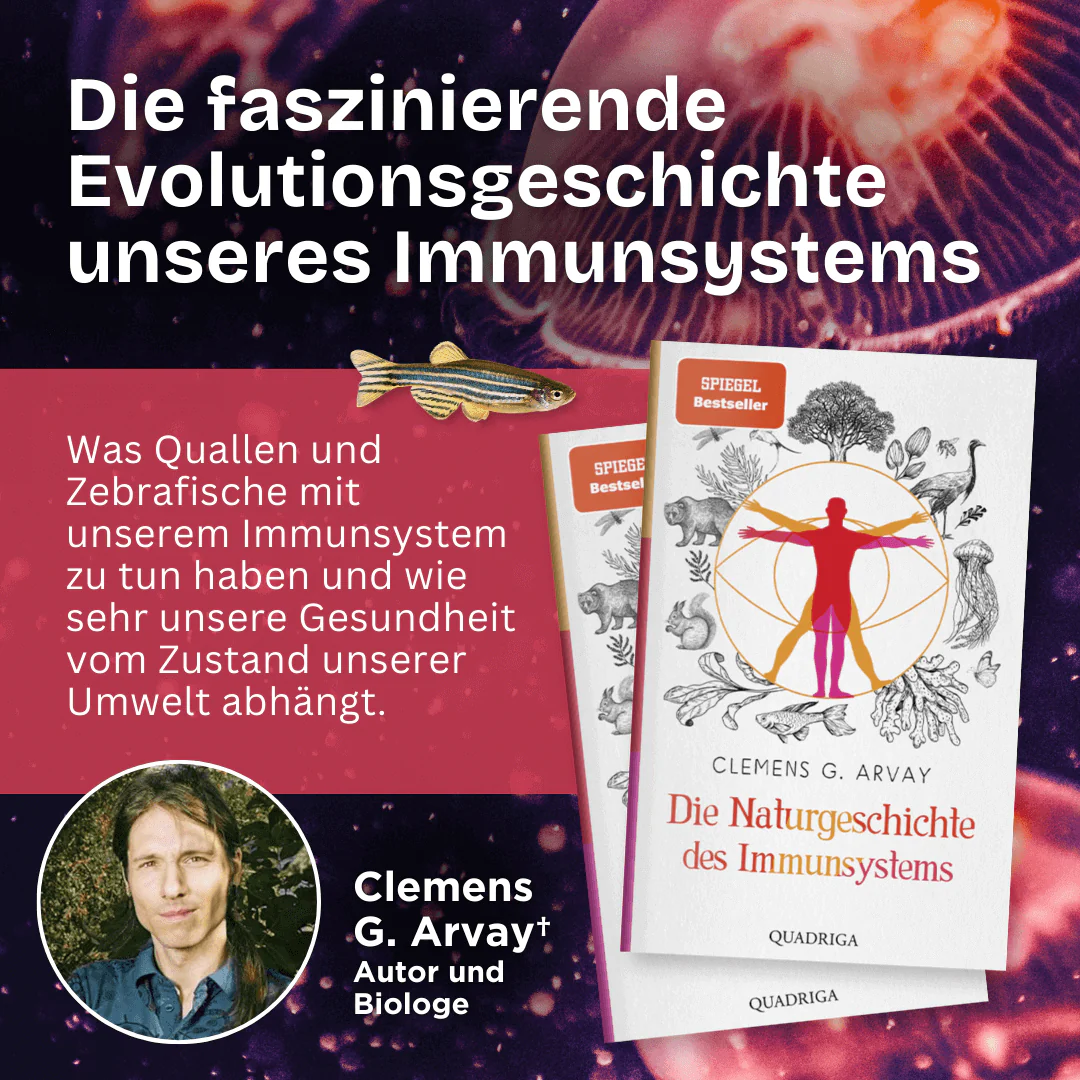 Die Naturgeschichte des Immunsystems - Image 2