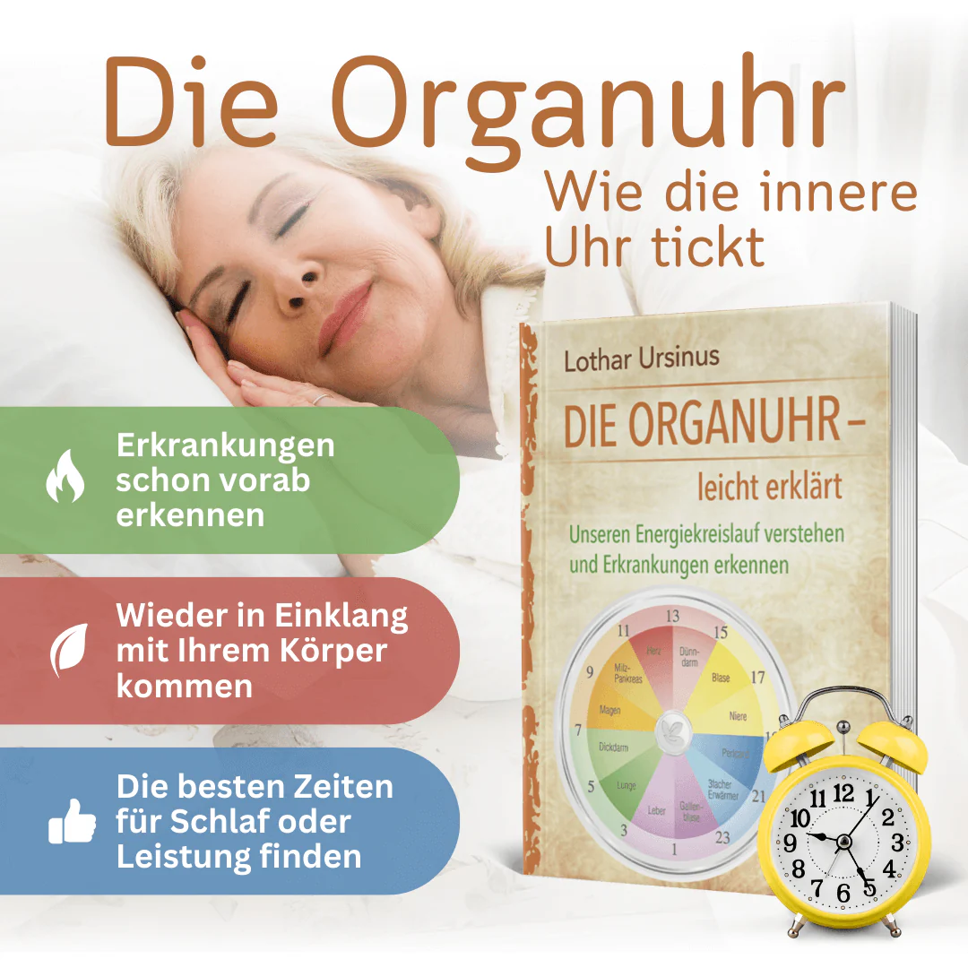 Die Organuhr – leicht erklärt - Image 2