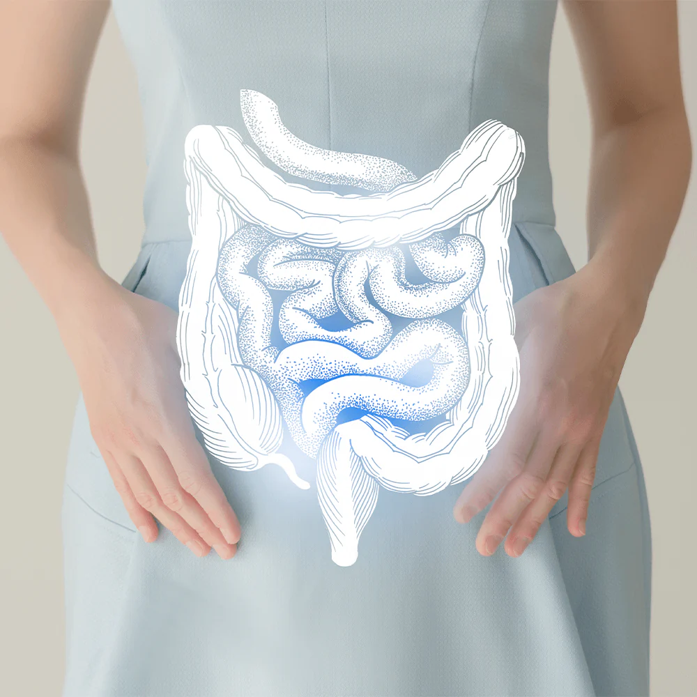 Enzym Komplex mit Calcium Kapseln - Image 2