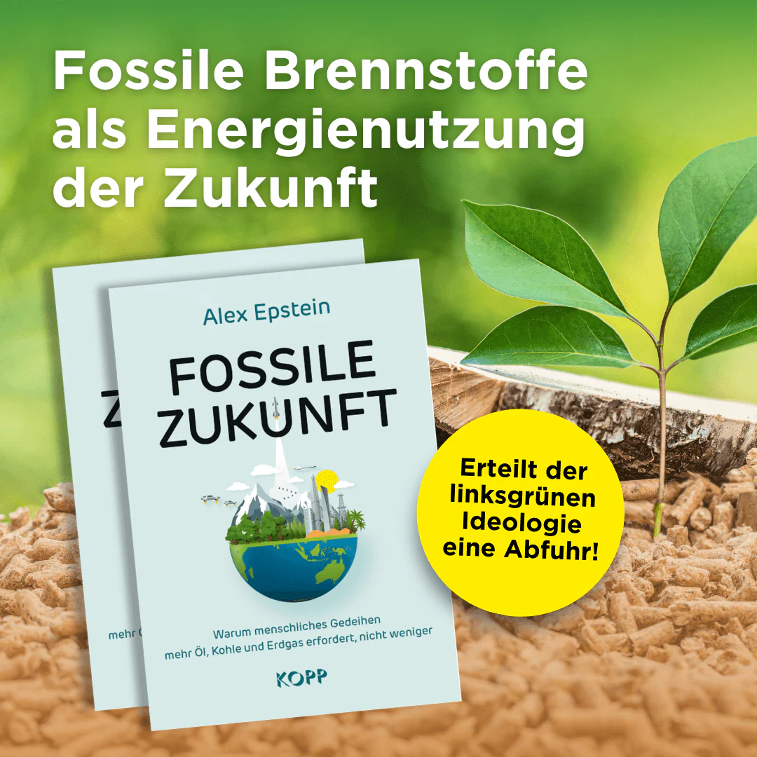 Fossile Zukunft - Image 2