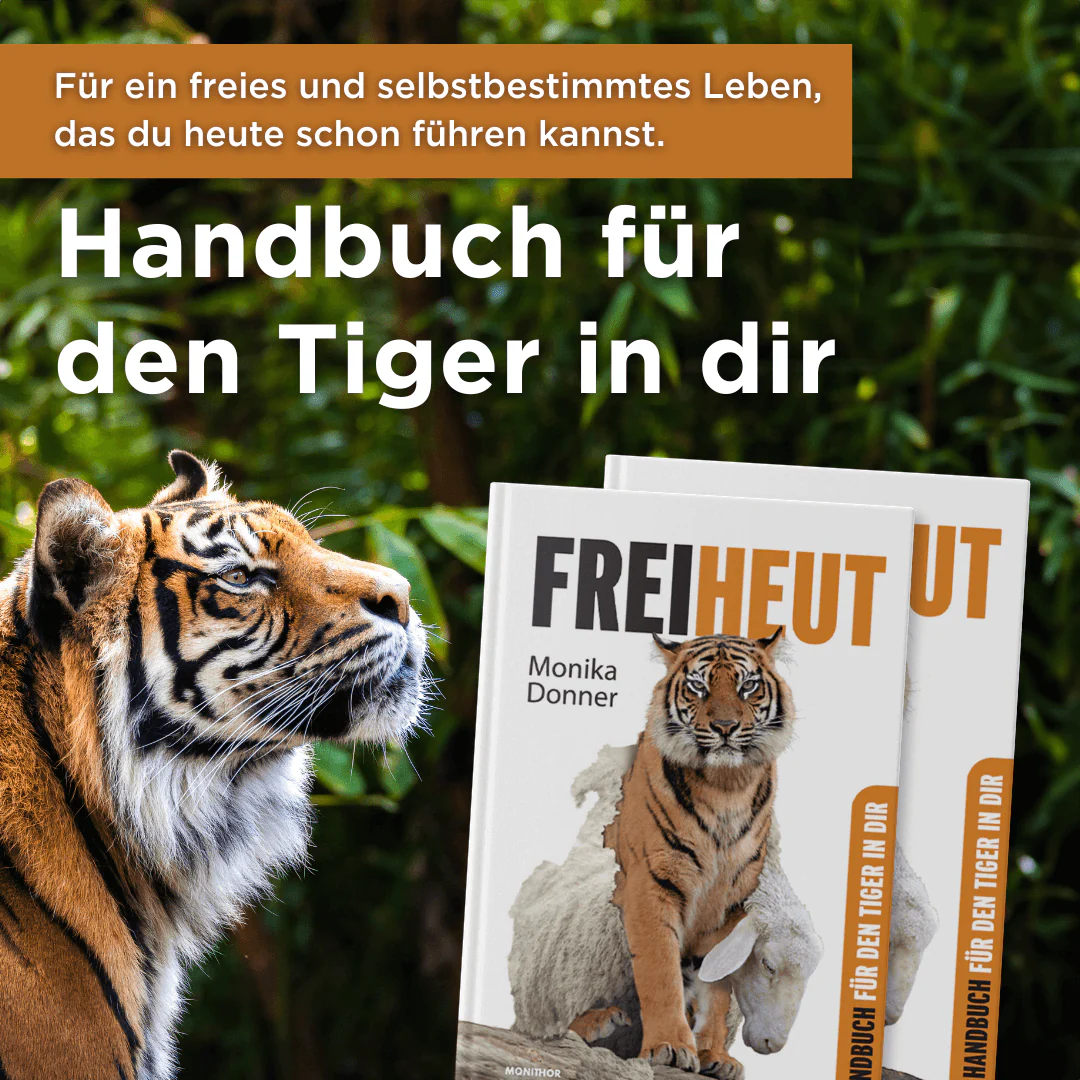 Freiheut - Image 3