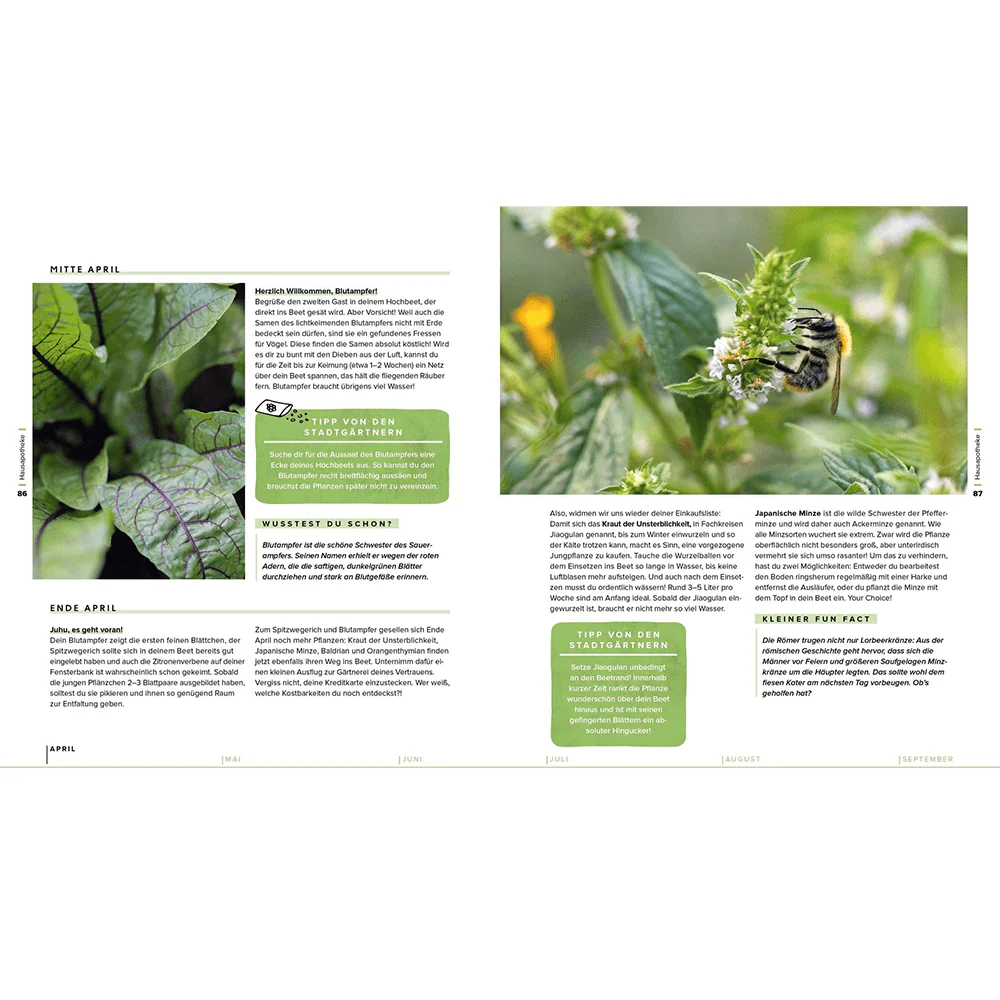 Garten, Hochbeet, Ernte-Wunder – Drei Bücher im Bundle - Image 4