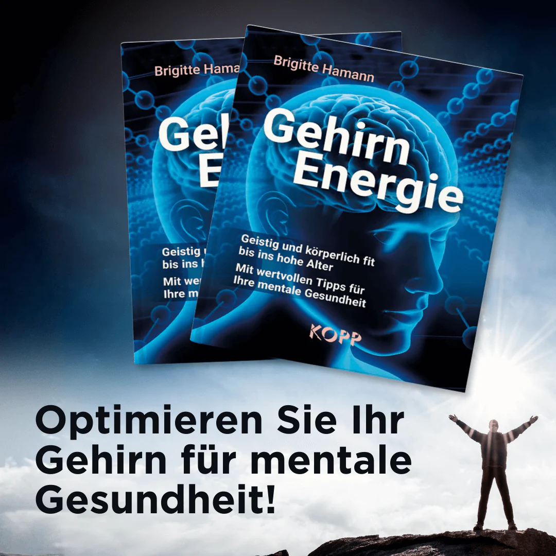 Gehirnenergie - Image 2
