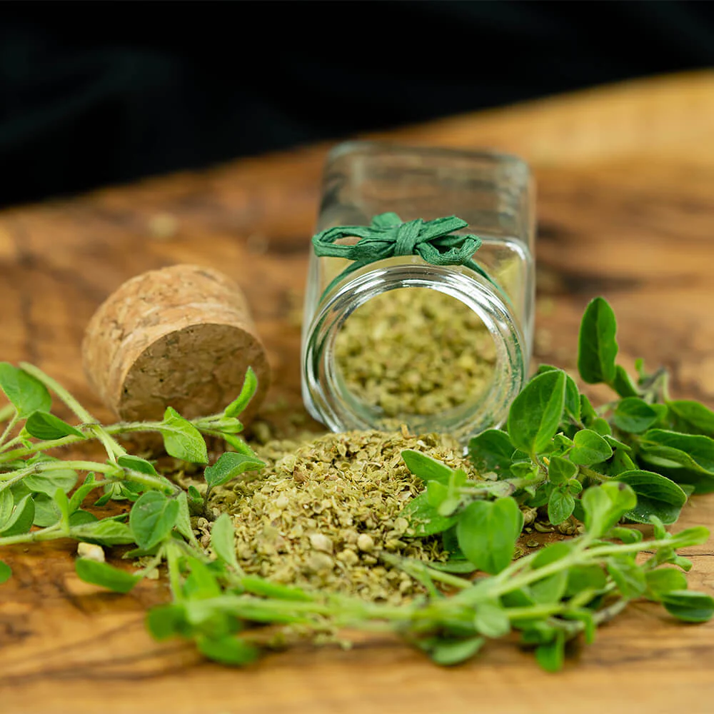 Griechischer Oregano - Image 2