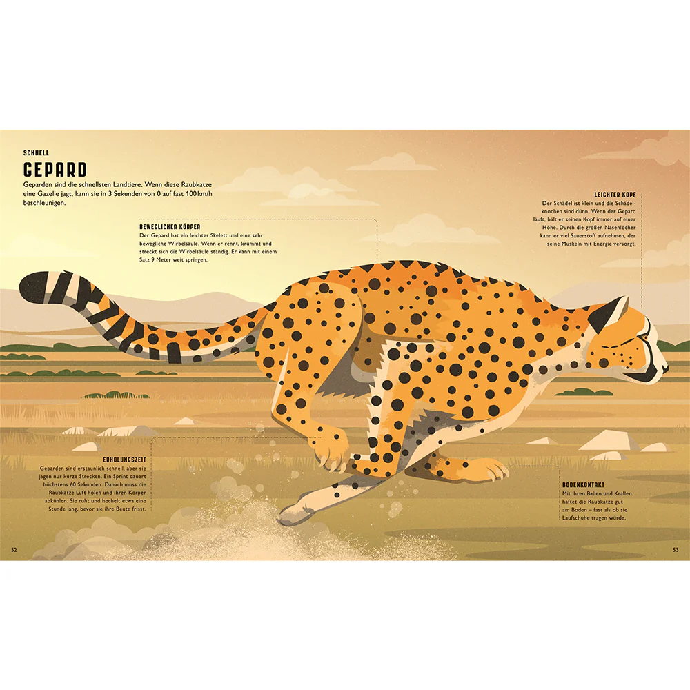 Großartige Tiere - Image 3