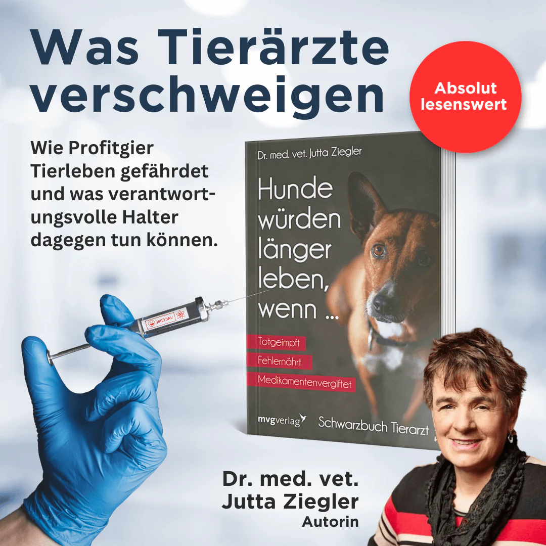 Hunde würden länger leben, wenn ... - Image 2