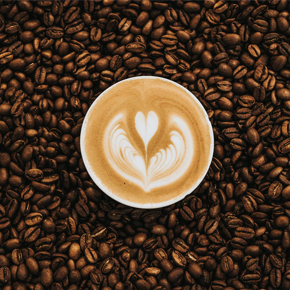 Kompostierbare Kaffeekapseln mit Bio Kaffee Muchacho - Image 7