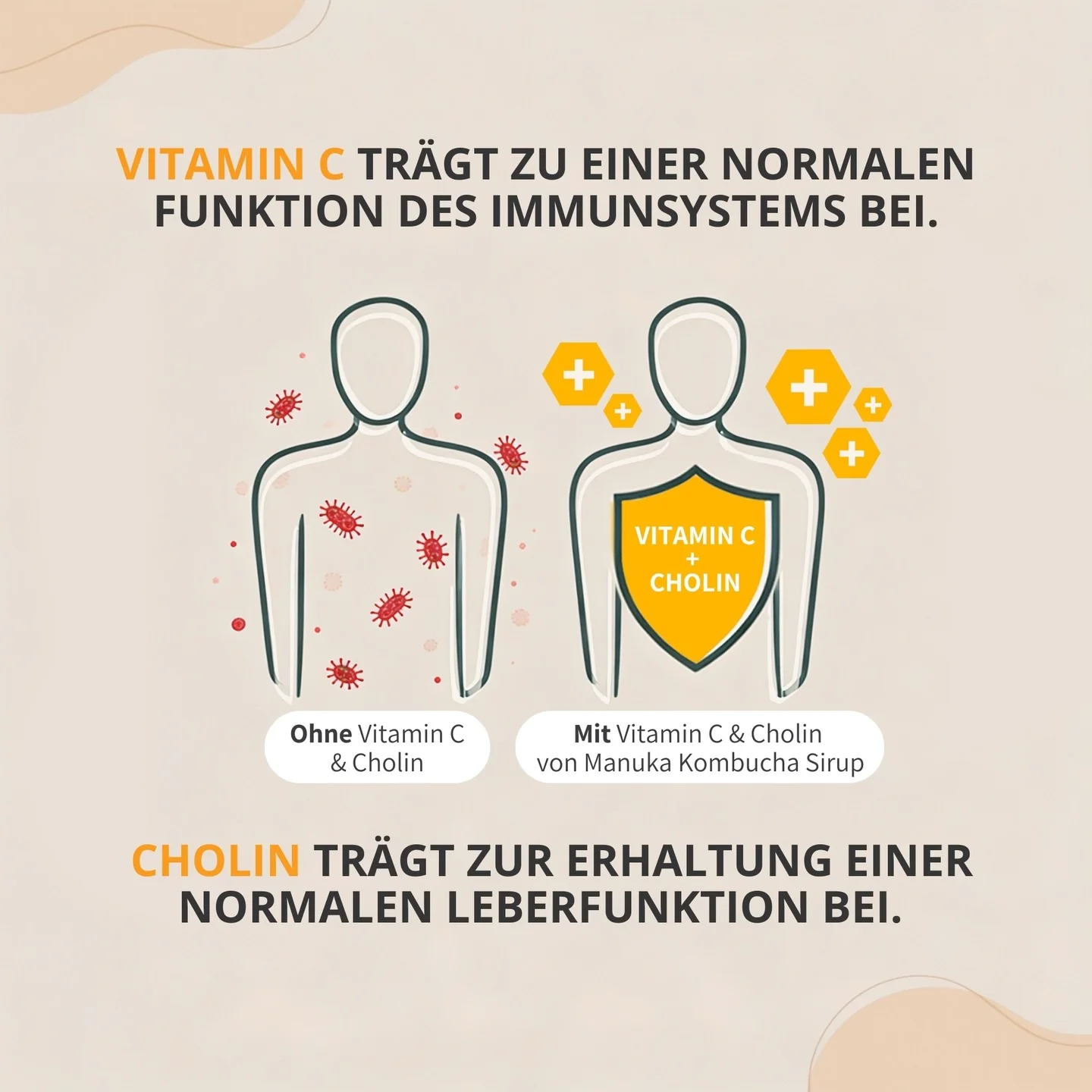Manuka Kombucha Sirup mit Propolis und feinem Salbeigeschmack - Image 6