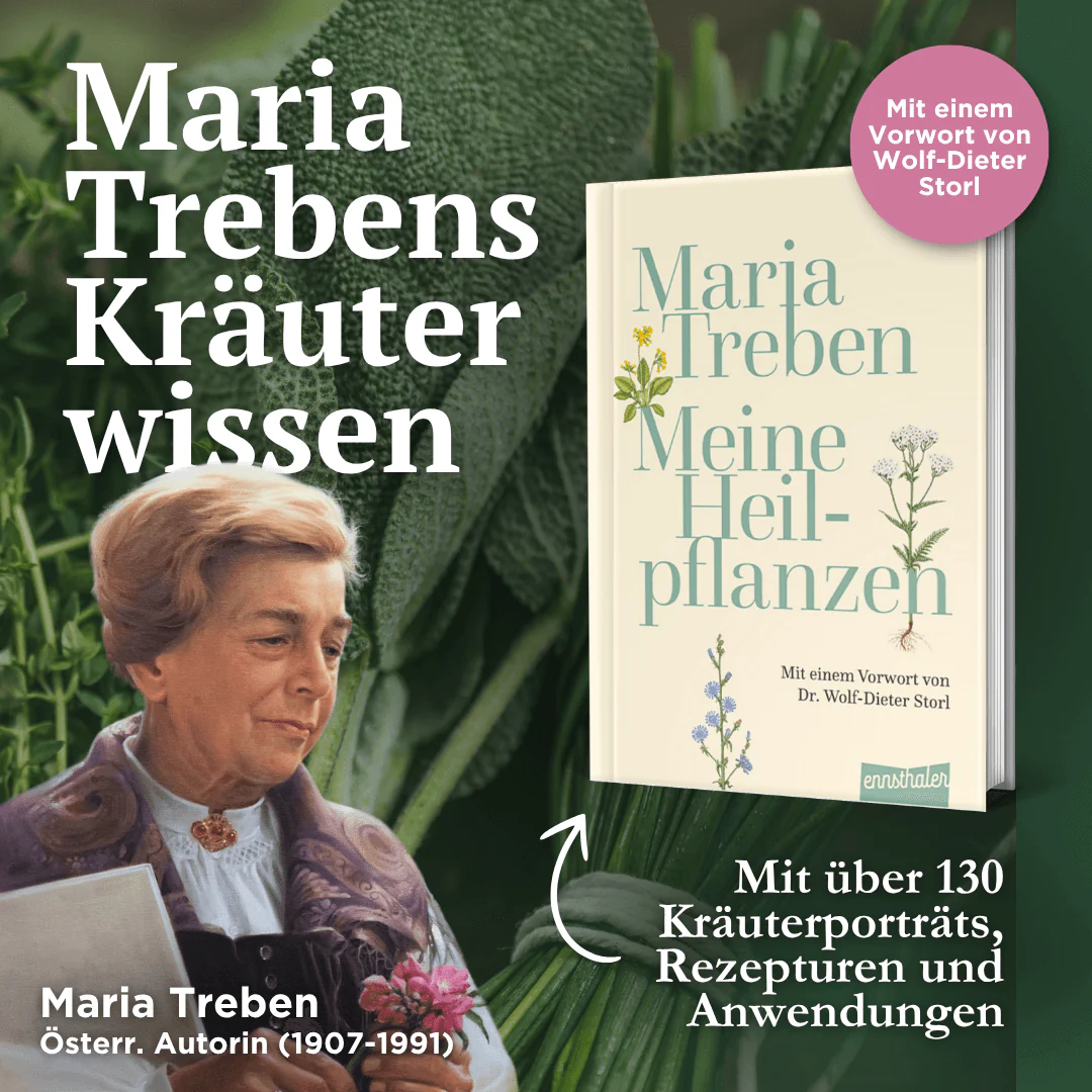 Meine Heilpflanzen - Image 2