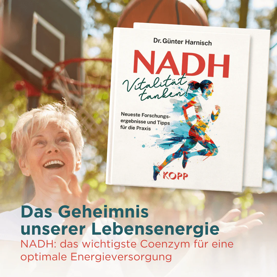 NADH: Vitalität tanken! - Image 2