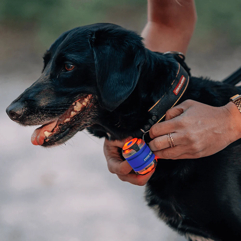 Olight Gober 2 Sicherheitslicht - Image 6