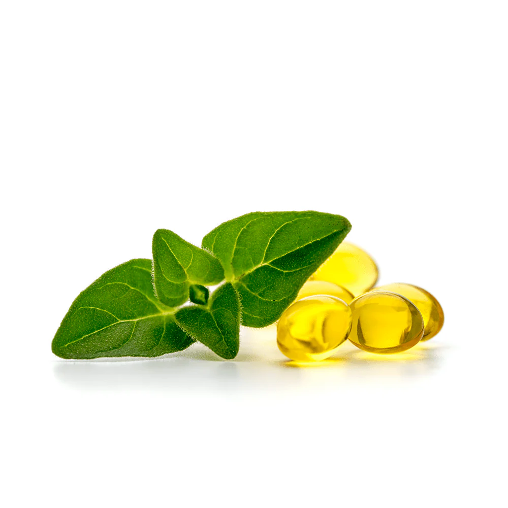 Oregano Öl Kapseln - Image 2