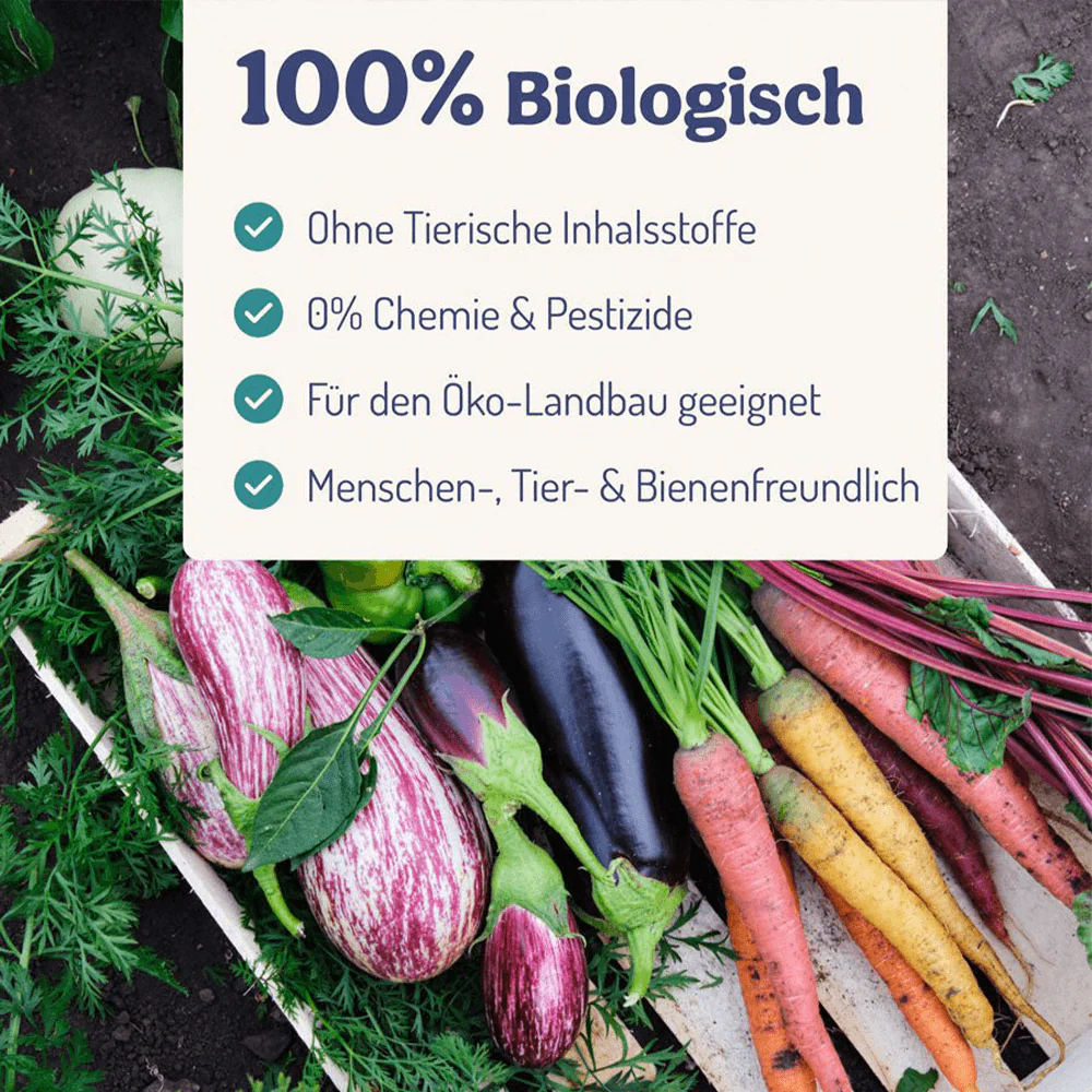 PflanzenWunder – Natürliche Pflanzenkraft - Image 3