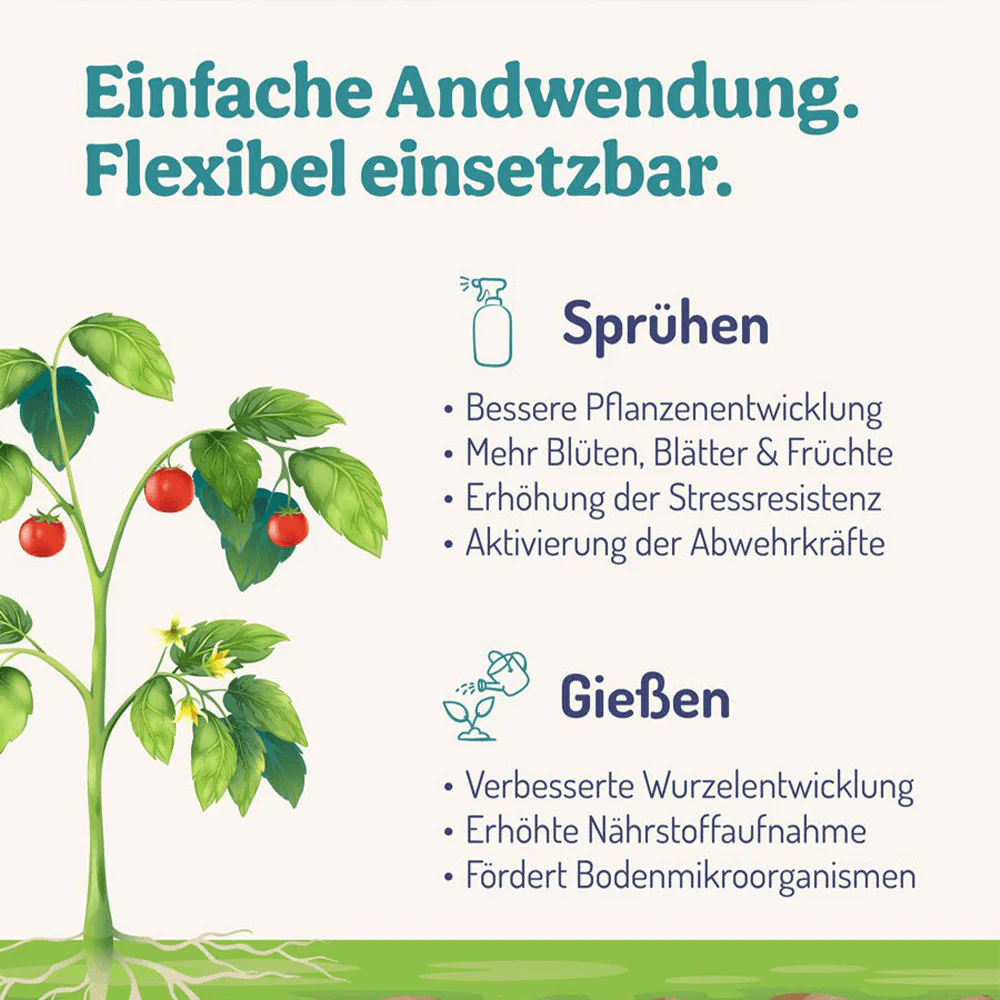 PflanzenWunder – Natürliche Pflanzenkraft - Image 4