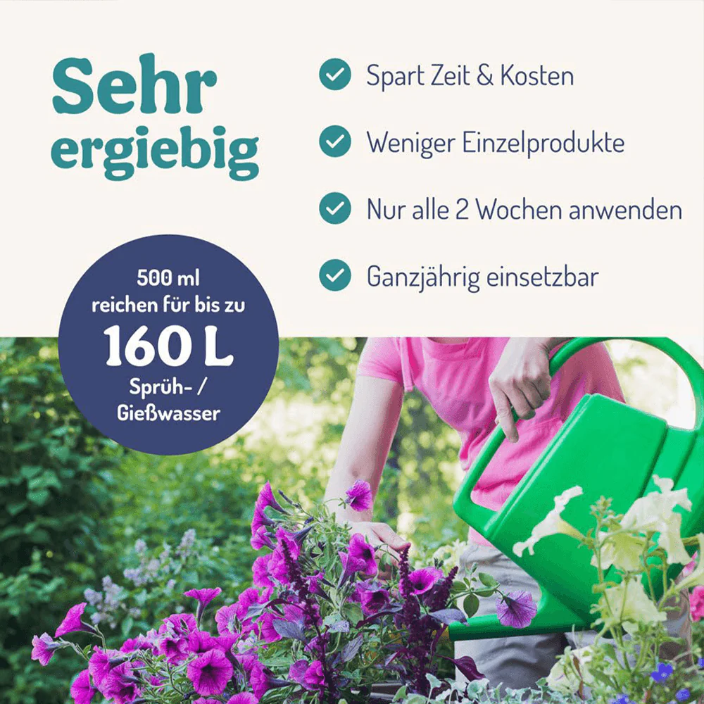 PflanzenWunder – Natürliche Pflanzenkraft - Image 5