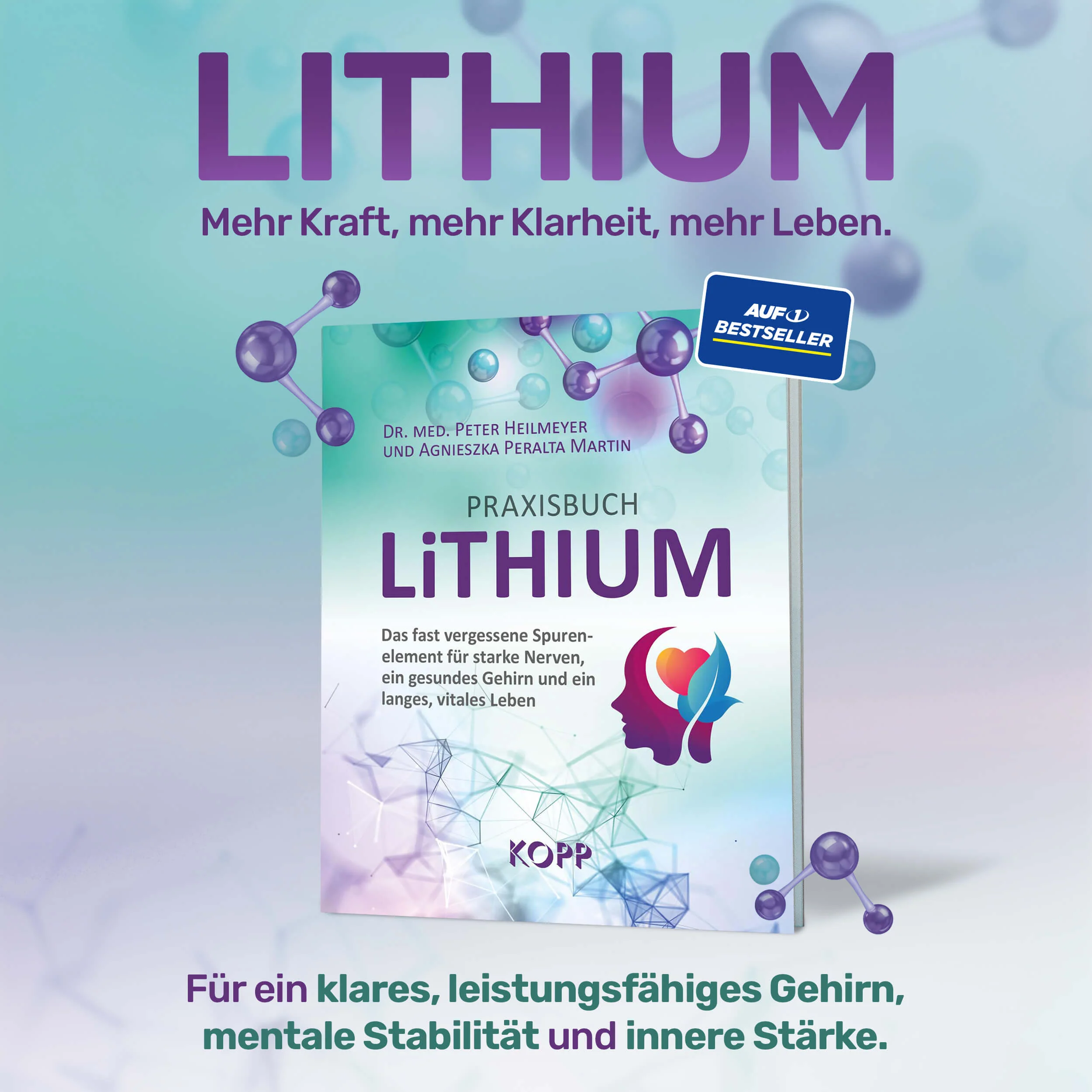 Praxisbuch Lithium - Image 2