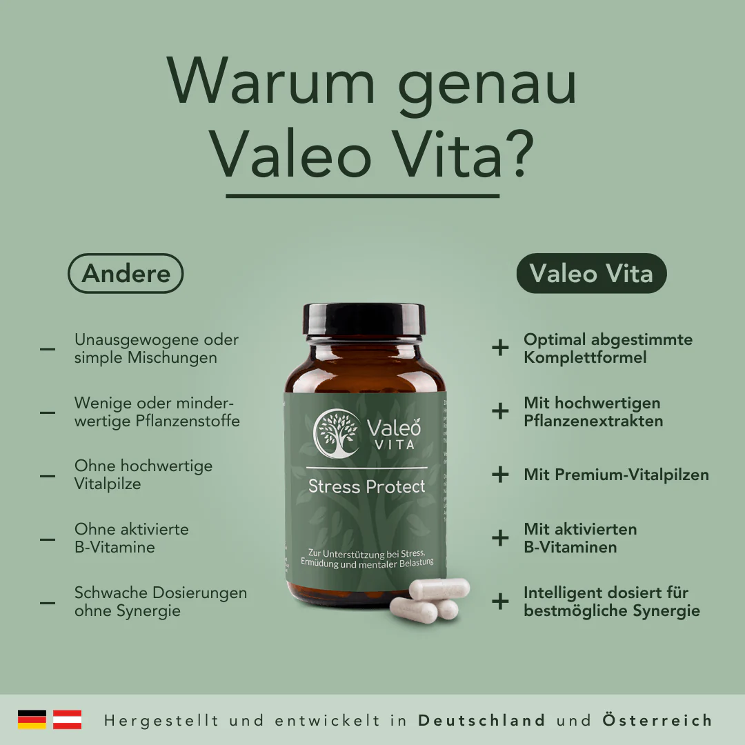 Stress Protect Kapseln - Image 5
