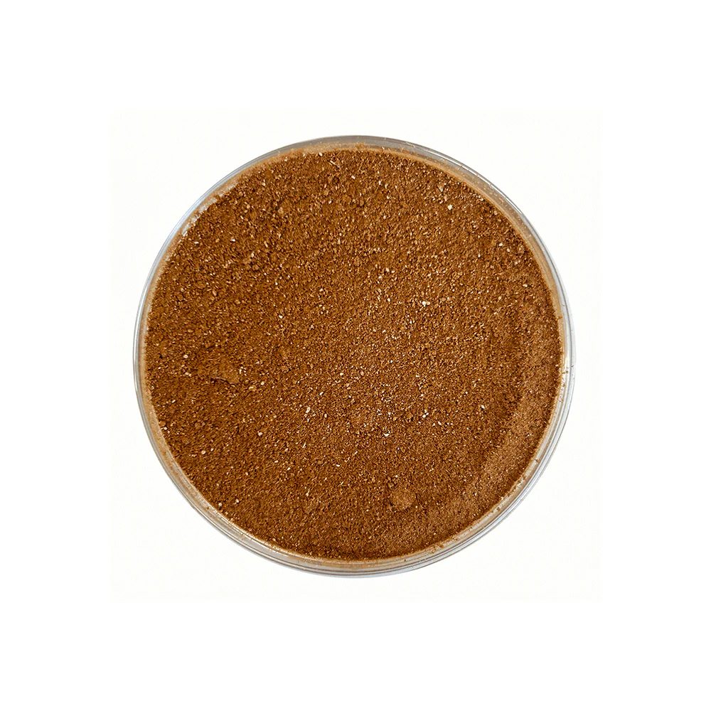 Terra Latte (Kaffeealternative) - Image 3