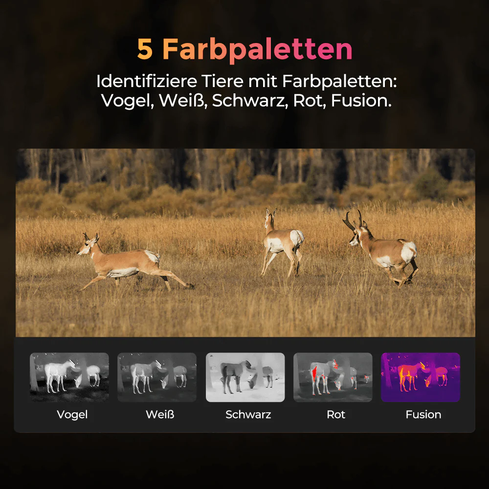Wärmebildkamera TOPDON TS004 - Image 3