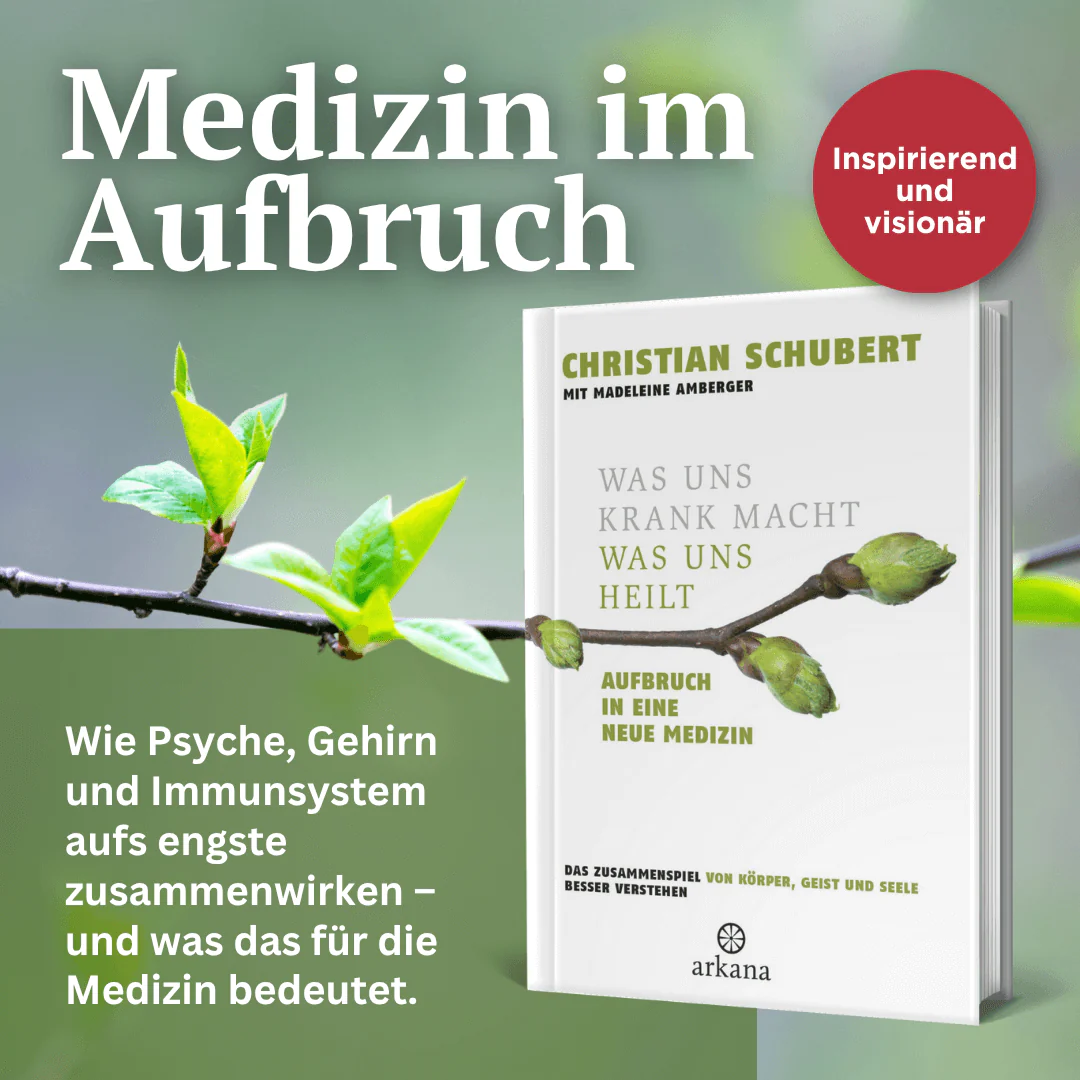 Was uns krank macht – Was uns heilt - Image 2