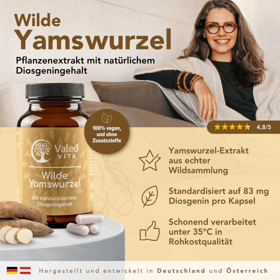 Vorschaubild 2