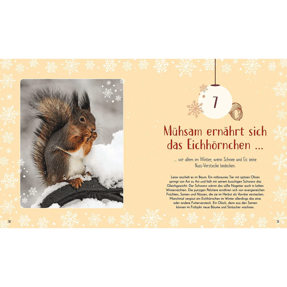 Wundervolle Welt – Adventskalender - Image 3