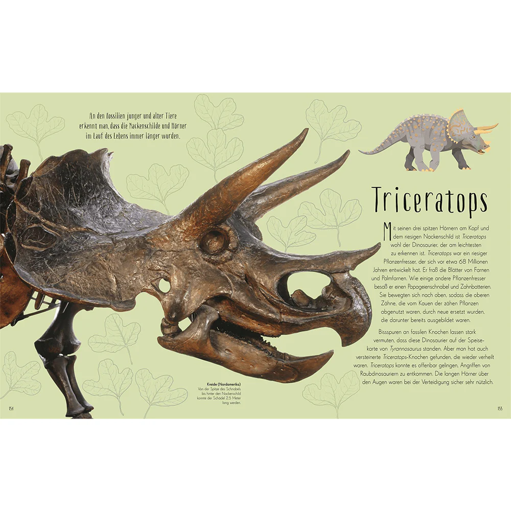 Wundervolle Welt der Dinosaurier und der Urzeit - Image 3