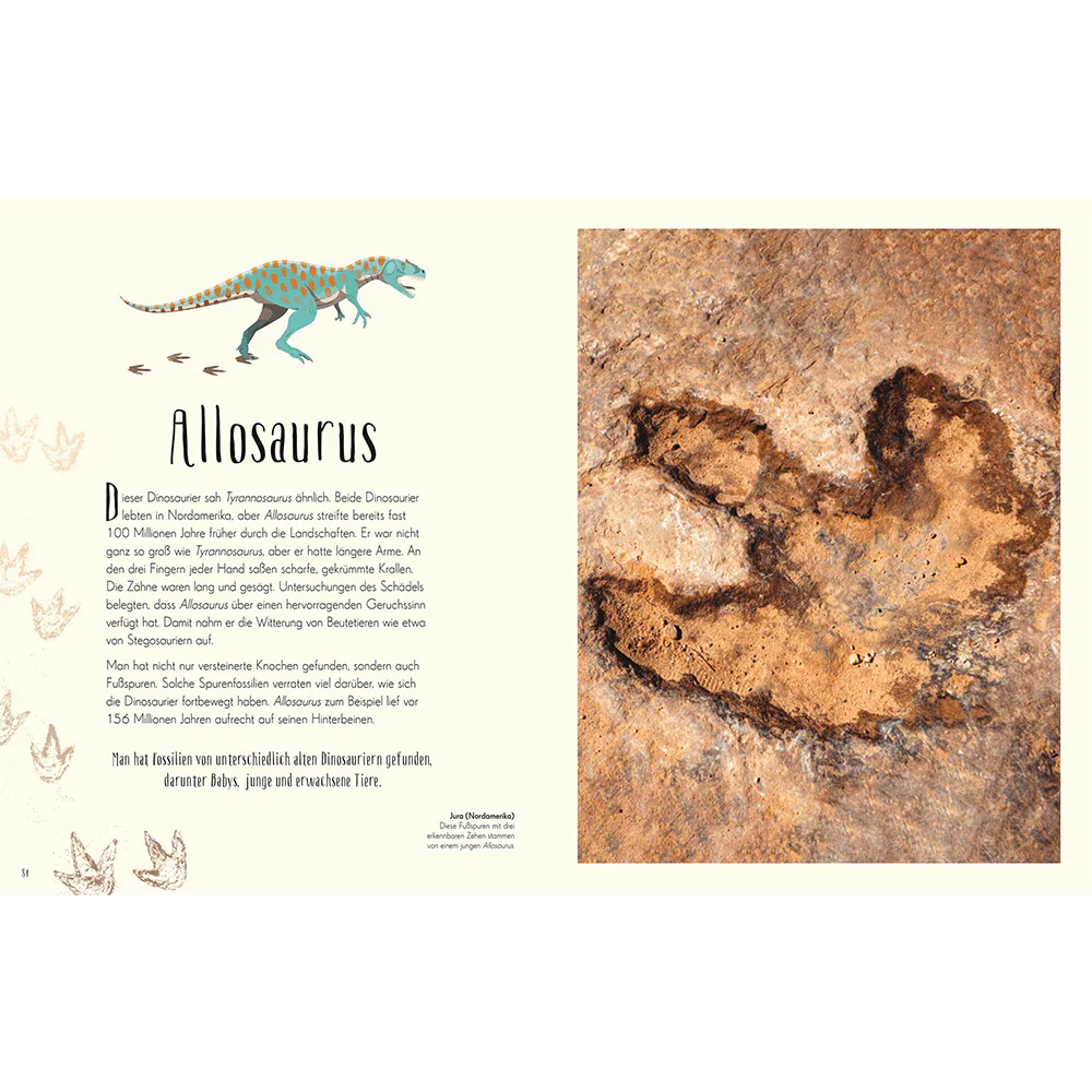 Wundervolle Welt der Dinosaurier und der Urzeit - Image 4
